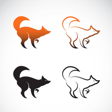 Vector image of an fox design on white background, Logo, Symbol