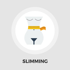 Diet concept icon flat