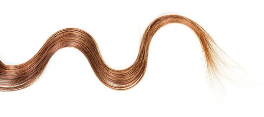 Lock wavy brown hair isolated on white background.