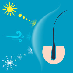 Vector illustration of a hair follicle protected by a shield from the sun, wind and snow. Hair protection concept.