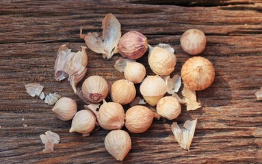 garlic