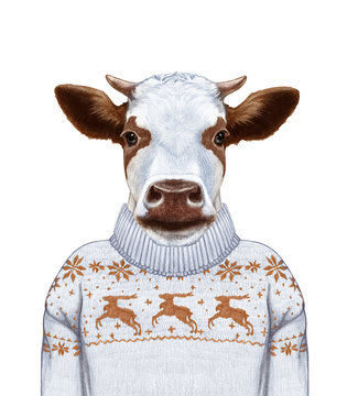 Animals as a human. Portrait of Cow in sweater. Hand-drawn illustration, digitally colored.