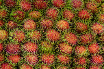 Fototapeta premium asian fruit rambutan