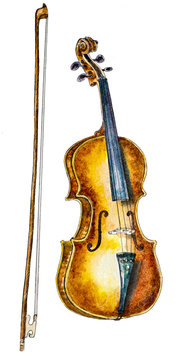 watercolor violin and a bow on white. hand painted illustration