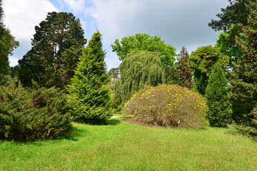 An English country garden in late springtime. 