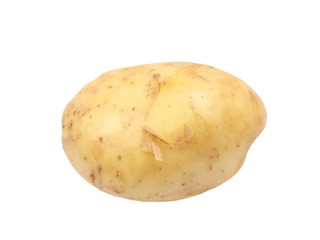 potato isolated on white background