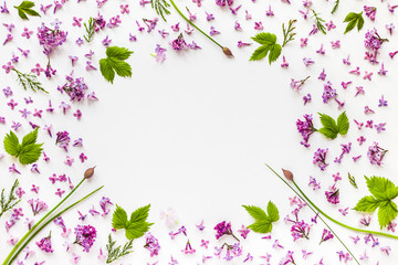 Frame of fresh lilac flowers and green hop leaves on white backg