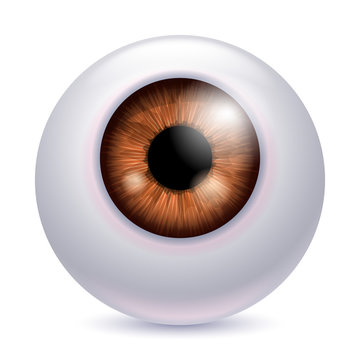 Human eyeball iris pupil - brown color.