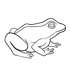 Obraz premium Coloring book: frog