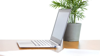 Laptop auf Bürotisch mit dekorativer Pflanze und Dokumenten