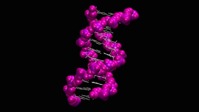 DNA molecule