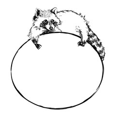 Cute raccoon lies on a round banner with blank space for text,  vector  illustration © samuii
