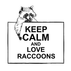Funny and touching raccoon lies on banner keep calm and love raccoons hand drawn engrave sketch vector illustration © samuii