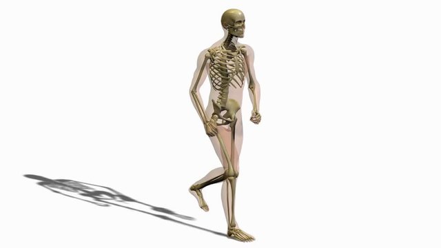 Animation of person running