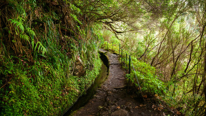 trekking footpath in levada Caldeirao Verde