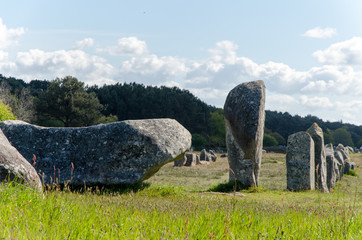Alignement de menhirs à Carnac