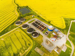 Aerial view to biogas plant from pig farm in rapeseed fields. Renewable energy from biomass. Modern...