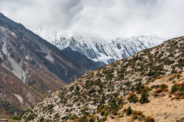Great mountain massif covered in snow.