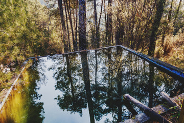 water tank in thicket wood