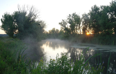 Naklejka na ściany i meble Morning landscape with fog on the river