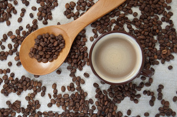 coffee beans on wooden spoon