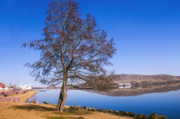 A beautiful landscape on the shore of the Lake