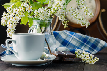 branches of blooming bird cherry tree, coffee cup