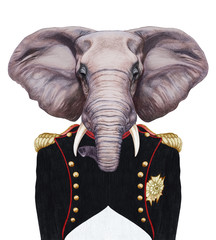 Portrait of Elephant in military uniform. Hand-drawn illustration, digitally colored.