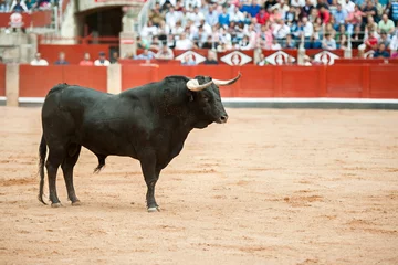 Zelfklevend Fotobehang black bull on the arena with public fund © David San Segundo