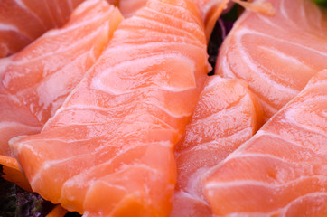 Salmon raw sashimi