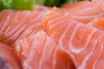 Salmon raw sashimi
