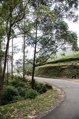 Road to Rajamala Hills
