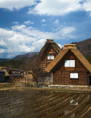 Fototapeta na wymiar The Historic Villages of Shirakawa (Shirakawa-go) Shirakawago Tr