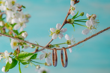Wedding rings. Spring. Flowering branch