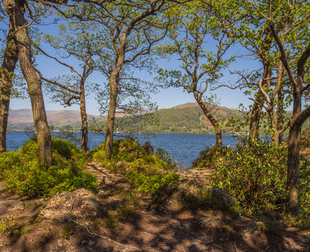 Strong Easterly wind blowing accross Lake Windermere, Claife, Cumbria, UK