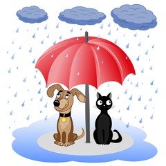 Dog and cat under umbrella