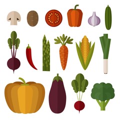 Flat vegetables vector collection. Isolated vector vegetables.