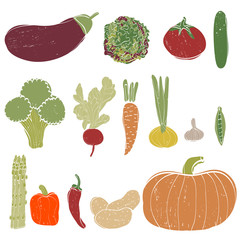 Vector vegetables set. Hand drawn vegetables made in vector. Isolated.