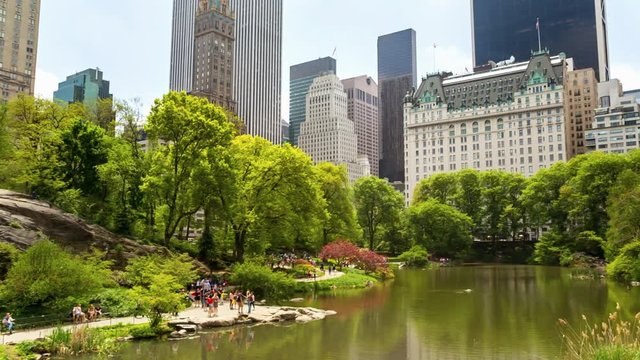 Pond in Central Park