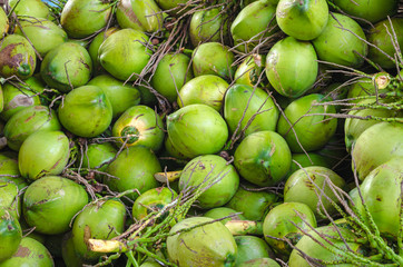 Pattern of green coconuts. © BP7