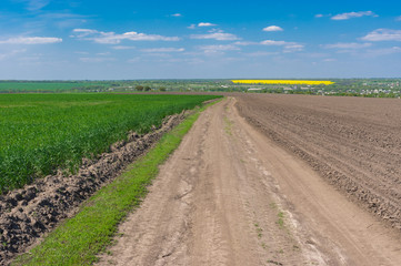 Fototapeta na wymiar Earth road between agricultural field with winter crops and left fallow field in central Ukraine at spring season