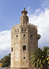 Fototapeta na wymiar Torre del Oro, Seville