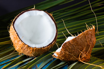 Coconut on palm tree leave