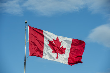 waving Canadian flag