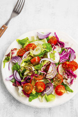 Fresh organic vegetable salad with onion, lettuce, tomatoes