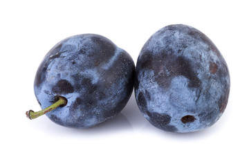 Ripe plums in closeup on white. Organic fruits.