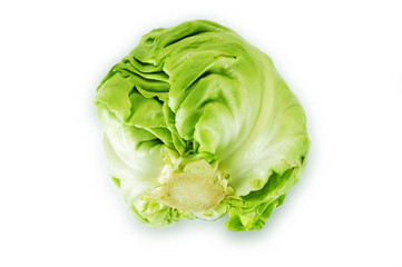 cabbage