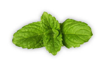 Fresh raw mint leaves isolated on white background