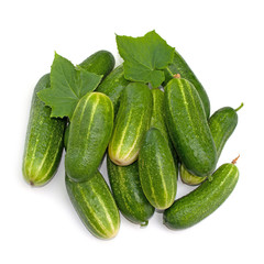 Gurken, Cucumis sativus, Einlegegurken