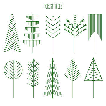 Forest trees set. Line illustration of trees. Hipster and simple modern style. Vector Illustration for print, logos, badges, emblems, labels. Forest camping. Spruce, pine, deciduous trees.